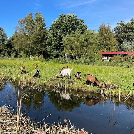 Huisje Op De Dijk Kortenhoef エクステリア 写真