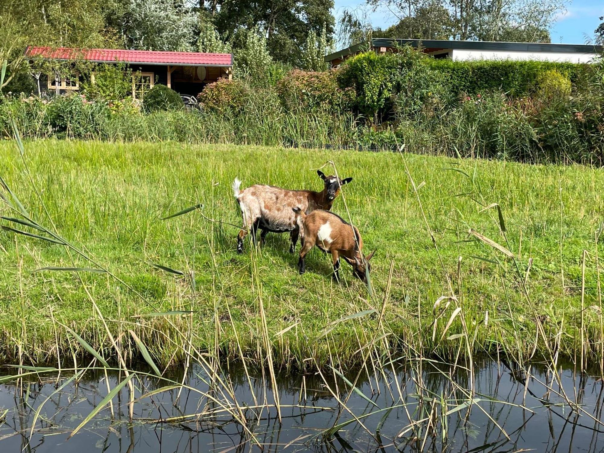 Huisje Op De Dijk Kortenhoef エクステリア 写真